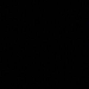 Meet your Posher, Lizbeth